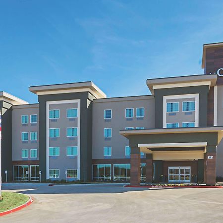 La Quinta By Wyndham Dallas - Wylie Eksteriør billede